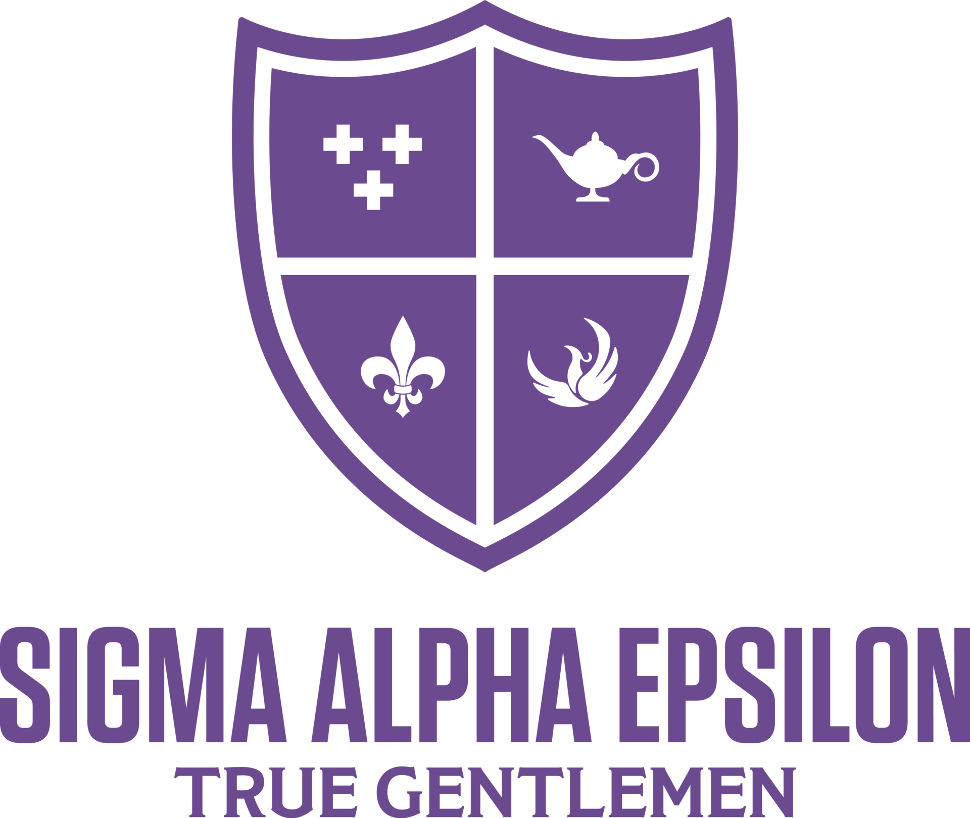 Spotlight: Sigma Alpha Epsilon Fraternity - Hazing Prevention Network